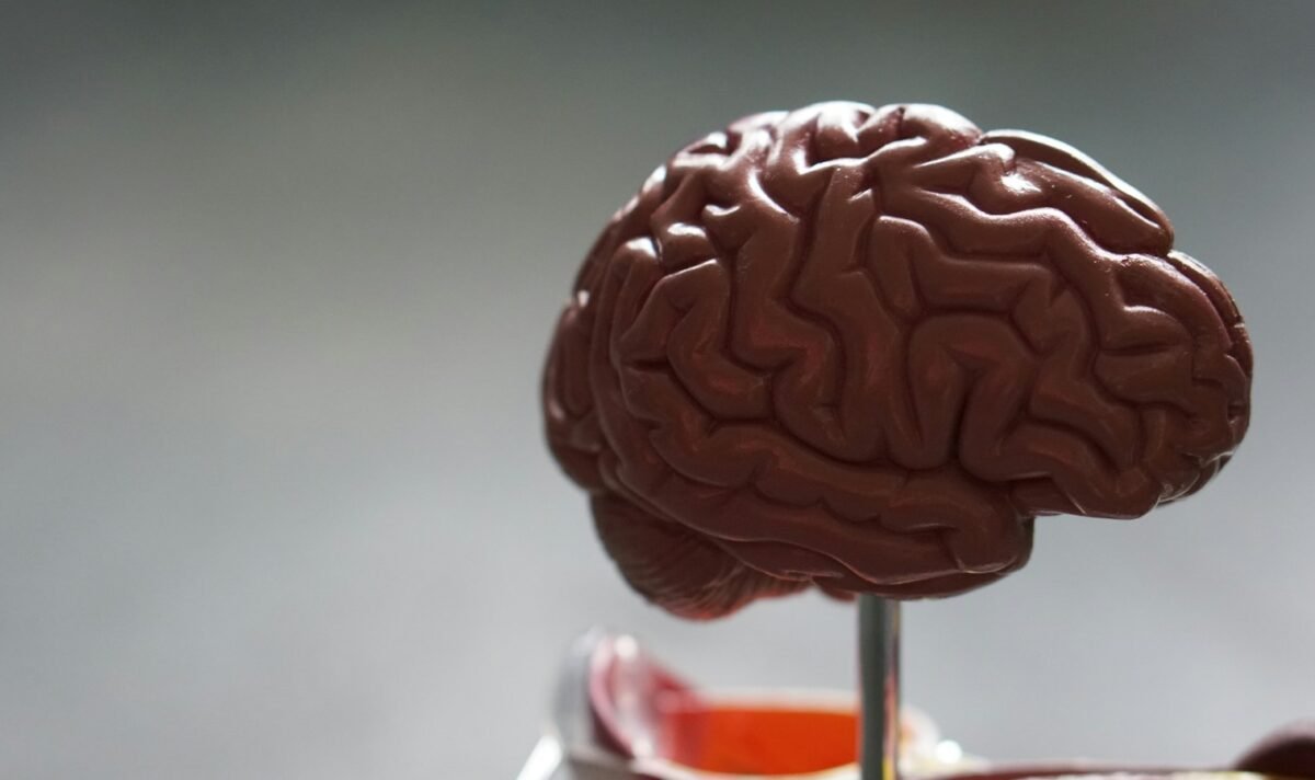 Uma prova não deveria decidir sozinha o futuro de uma carreira médica internacional