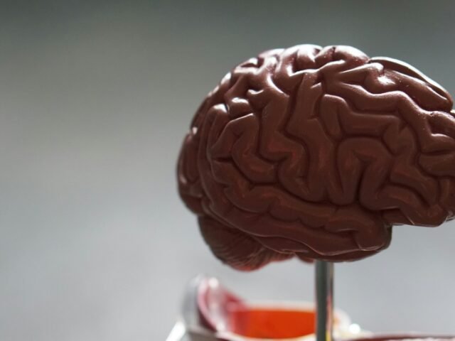 Uma prova não deveria decidir sozinha o futuro de uma carreira médica internacional